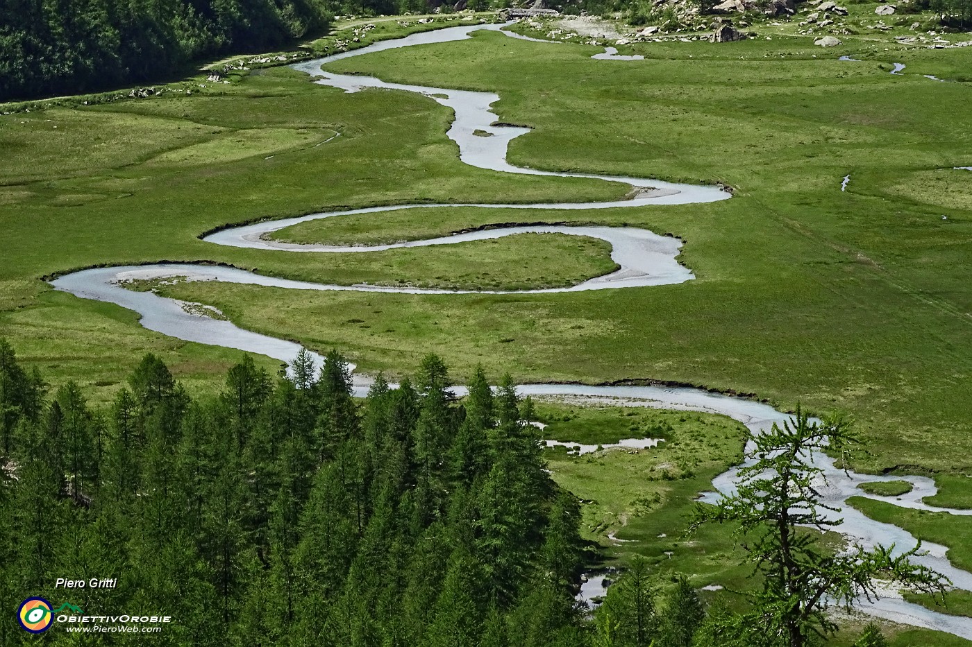 28 Il fragoroso torrente scende  a distenderesi tra i meandri della piana.JPG -                                